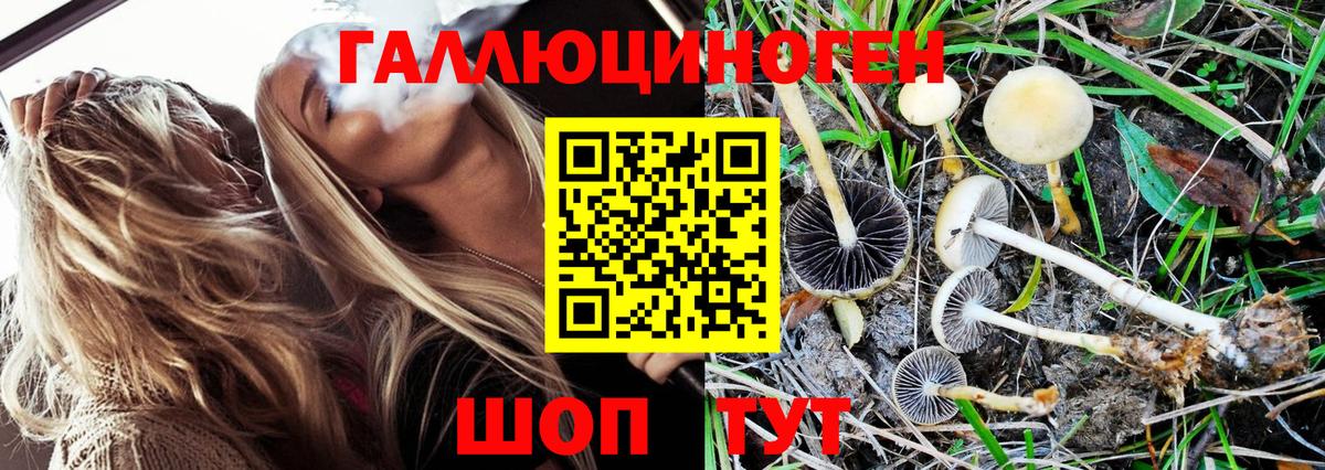 Галлюциногенные грибы Cubensis Печора