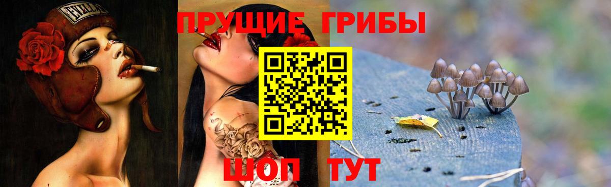Псилоцибиновые грибы Psilocybe  Вход с VPN  Галлюциногенные грибы Magic Shrooms  Печора 