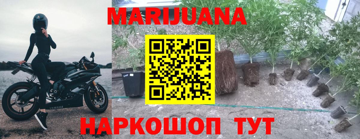 Канабис OG Kush  МАРИХУАНА VHQ  Канабис White Widow  Вход с VPN  Печора 